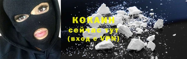 прущие грибы Гусев