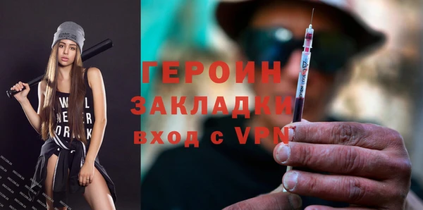 прущие грибы Гусев