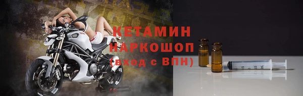 прущие грибы Гусев