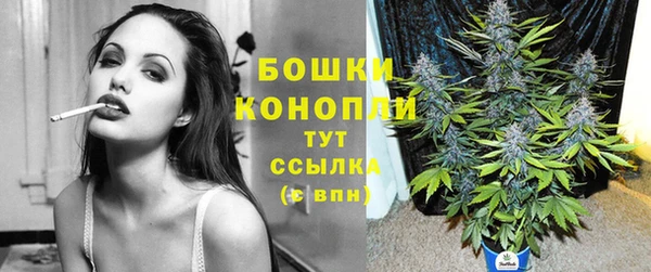 прущие грибы Гусев
