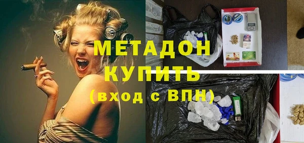 прущие грибы Гусев