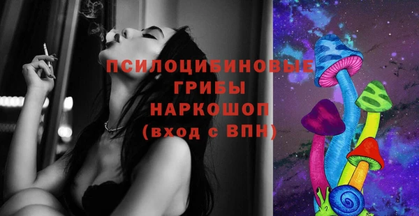 крисы Гусь-Хрустальный
