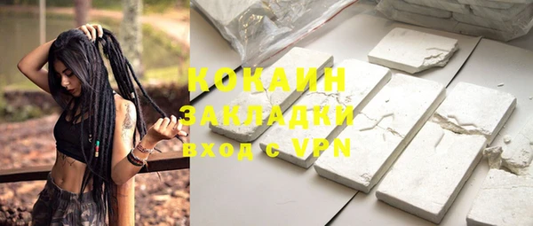 прущие грибы Гусев