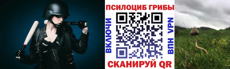 Псилоцибиновые грибы Magic Shrooms  OMG ONION  Долинск 